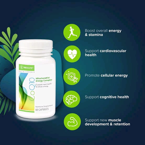 Ginkgo Biloba
